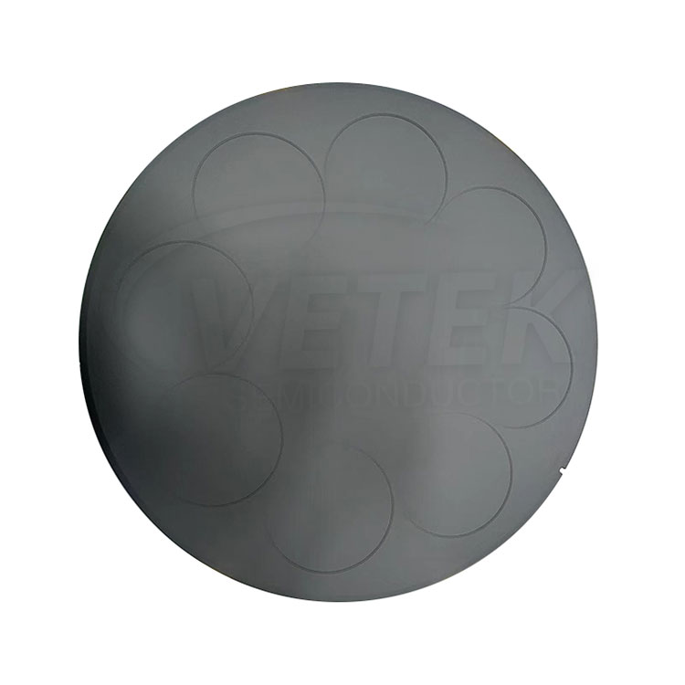 Sic phủ Pancake Masceptor cho LPE PE3061S 6 '' wafers