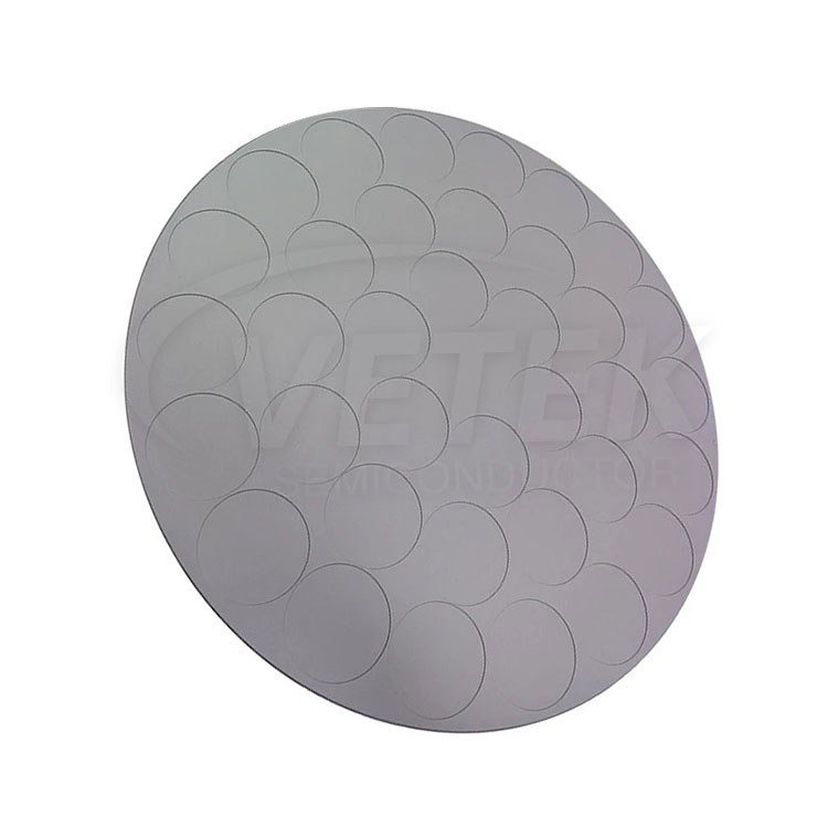 Sic Lớp phủ Wafer Carrier